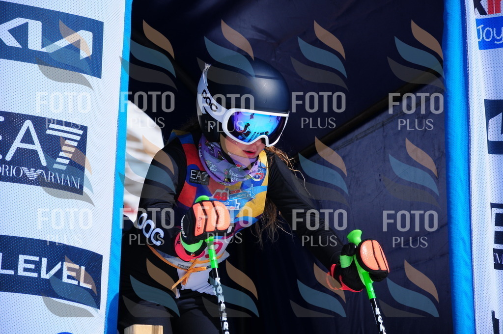 DSC_4618 | holidayphoto