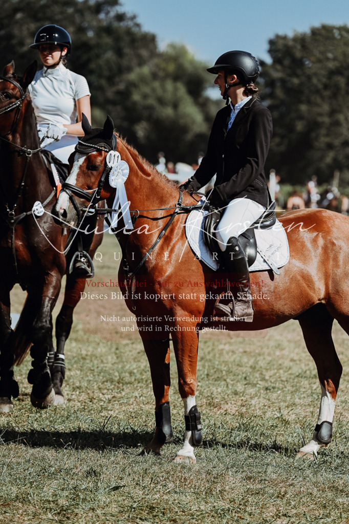 DSC_0159 | Pferde- und Turnierfotografie in Westsachsen. Pferdeportraits, Auftragszeichnungen und intuitive Kunst.
