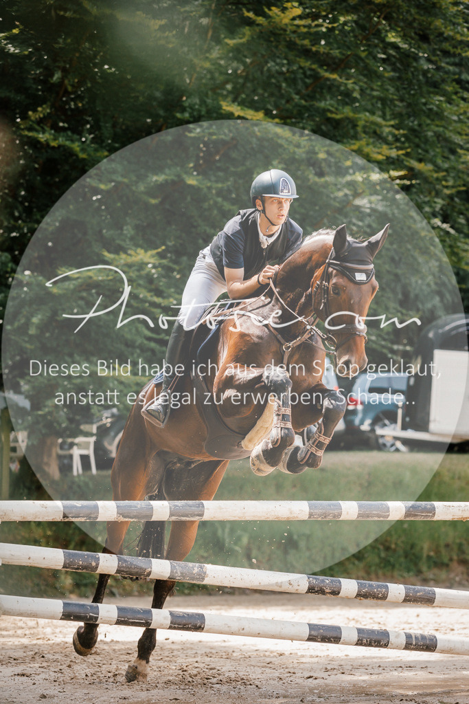 3I6A8101 | Stimmungsvolle Portraits und Reitsportfotografie im Ruhrgebiet und im Münsterland.

Pferdefotografie, Hundefotografie, Tierfotografie, Reportagen, Portraits von Tier und Mensch, Turnierfotografie in Bochum, Recklinghausen, Marl, Haltern am See, Dülmen.. - Realisiert mit Pictrs.com