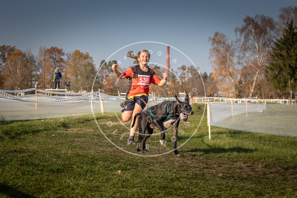 CaniXpix_0L8A9011 | Hundefotografie, Tierfotograf, Pfotenfotografie, Fotoshooting Hund, Hunde Portrait, Hundesport, Hundeportraits, Heideshooting, Hunde, Sportfotograf, Hundefotograf, Turnierhundsport, THS,  - Realisiert mit Pictrs.com