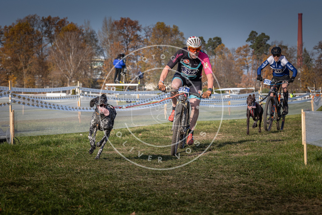 CaniXpix_0L8A7314 | Hundefotografie, Tierfotograf, Pfotenfotografie, Fotoshooting Hund, Hunde Portrait, Hundesport, Hundeportraits, Heideshooting, Hunde, Sportfotograf, Hundefotograf, Turnierhundsport, THS,  - Realisiert mit Pictrs.com