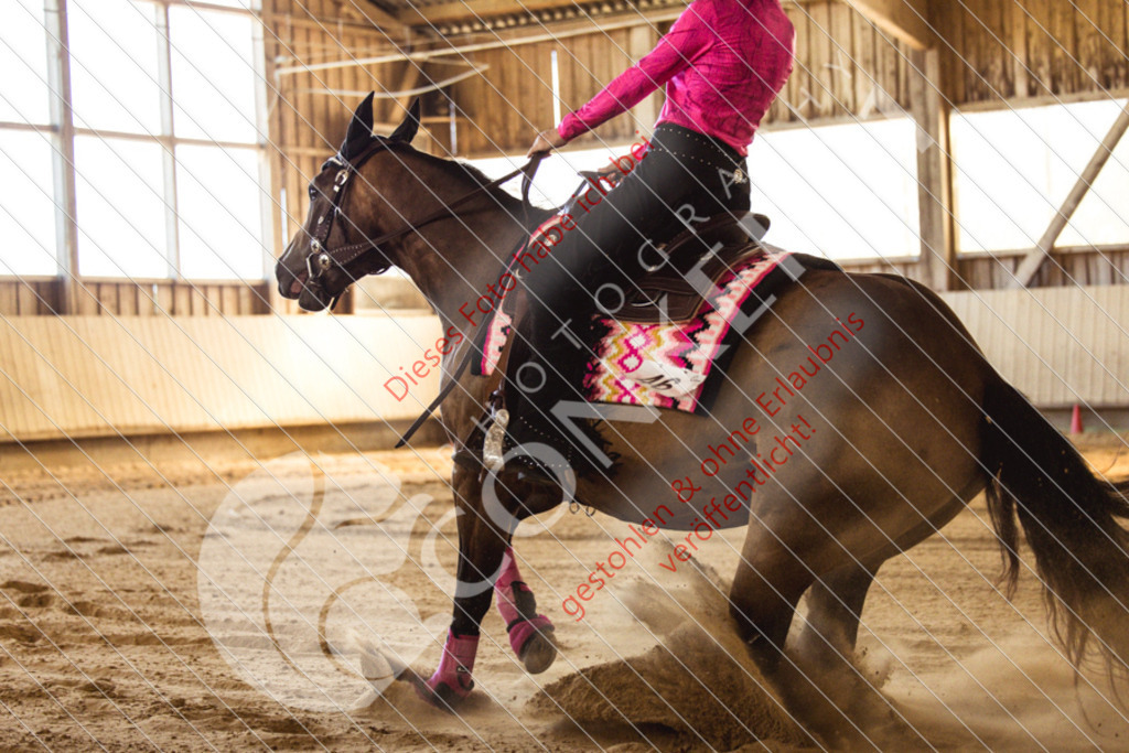 IMG_5611 | Sport-, Event- und Tierfotos in Profiqualität. Einfach auswählen, bestellen und herunterladen. Dein Moment – perfekt festgehalten.