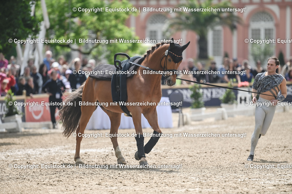 20240519_Voltige_0554 | Foto: Thomas Hartig