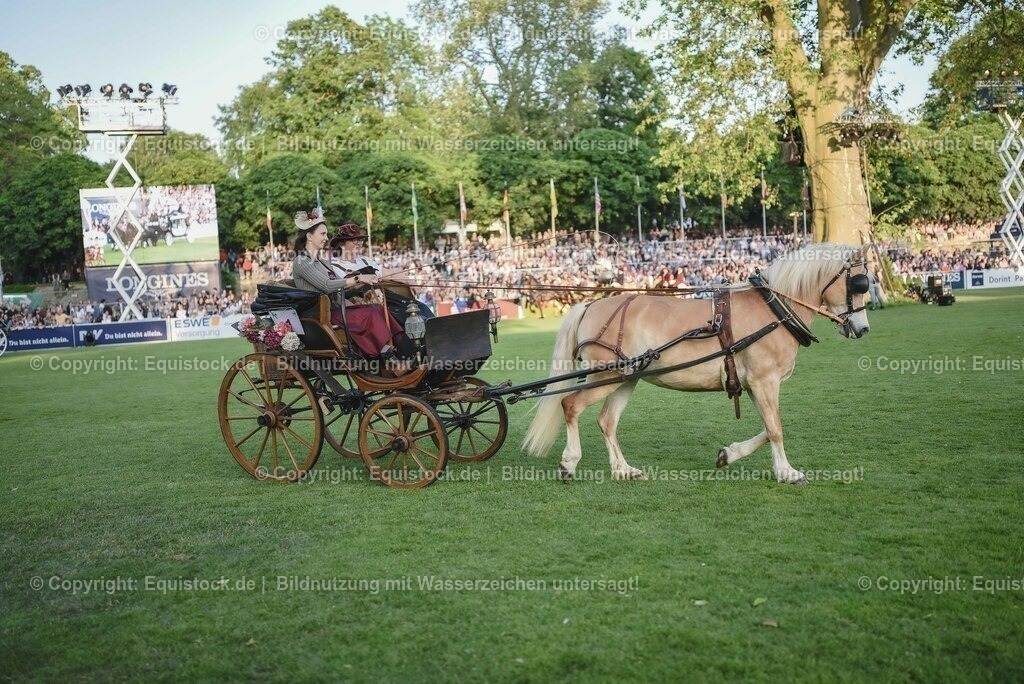 20230526_Pferdenacht_0195 | equistock