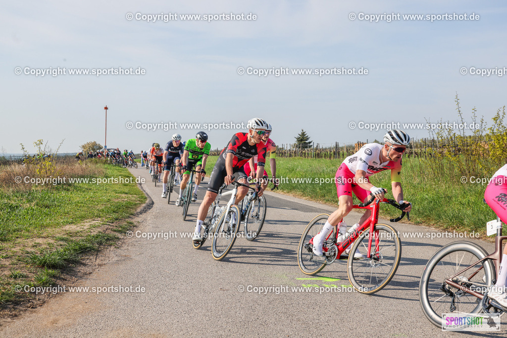 007A8591 | Neusiedlersee Radmarathon #neusiedlerseeradmarathon #neusiedlersee #nrm26 #yourpictrs #sportshot_your_pictrs
