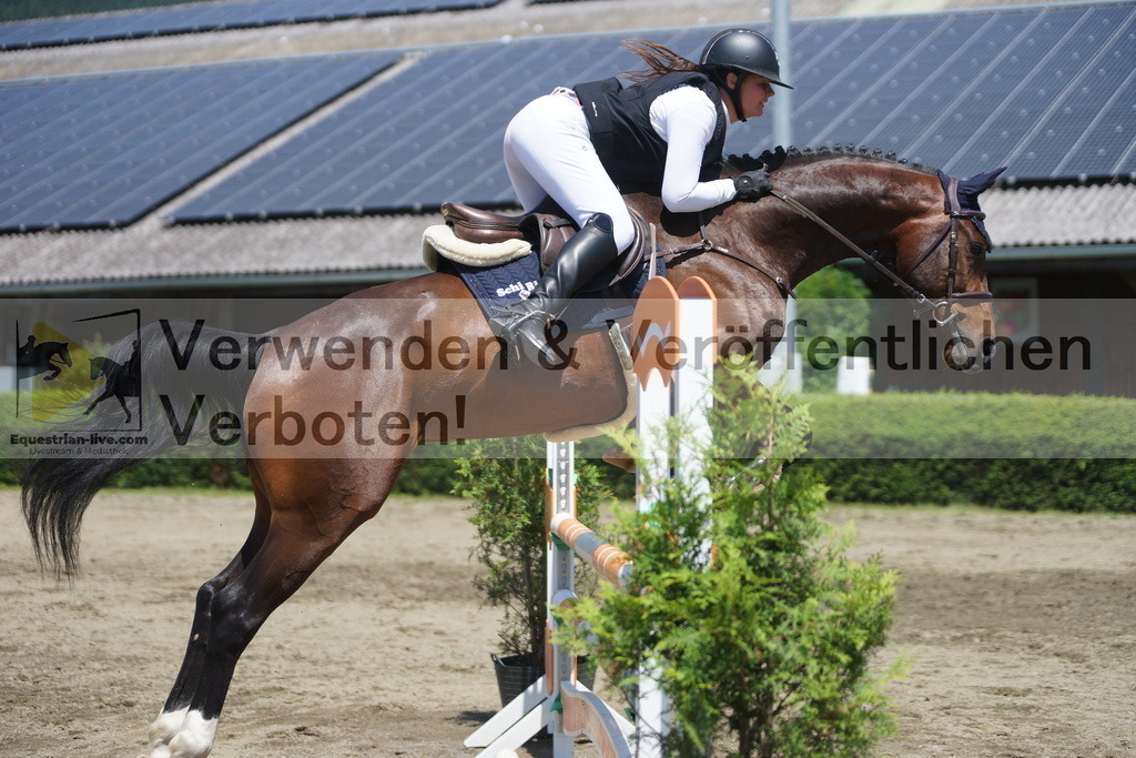 DSC06212 | equestrian-live-com