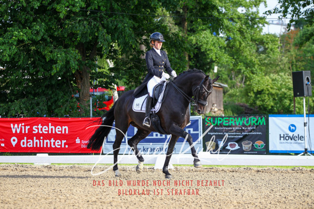 DKP41725 | Turnierfotos kaufen im Webshop von Daniel Kuhl Photography – entdecke professionelle Reitsportfotos aus Turnieren & Events. Hochwertige Turnierbilder online bestellen & sichern. Jetzt Fotos von Reitsportturnieren kaufen!