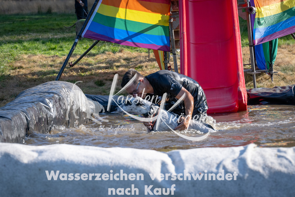 1716_ZZ94389 | kk-dogfotos