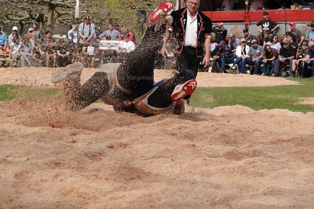 DSC02345 | Schwingen - Realisiert mit Pictrs.com