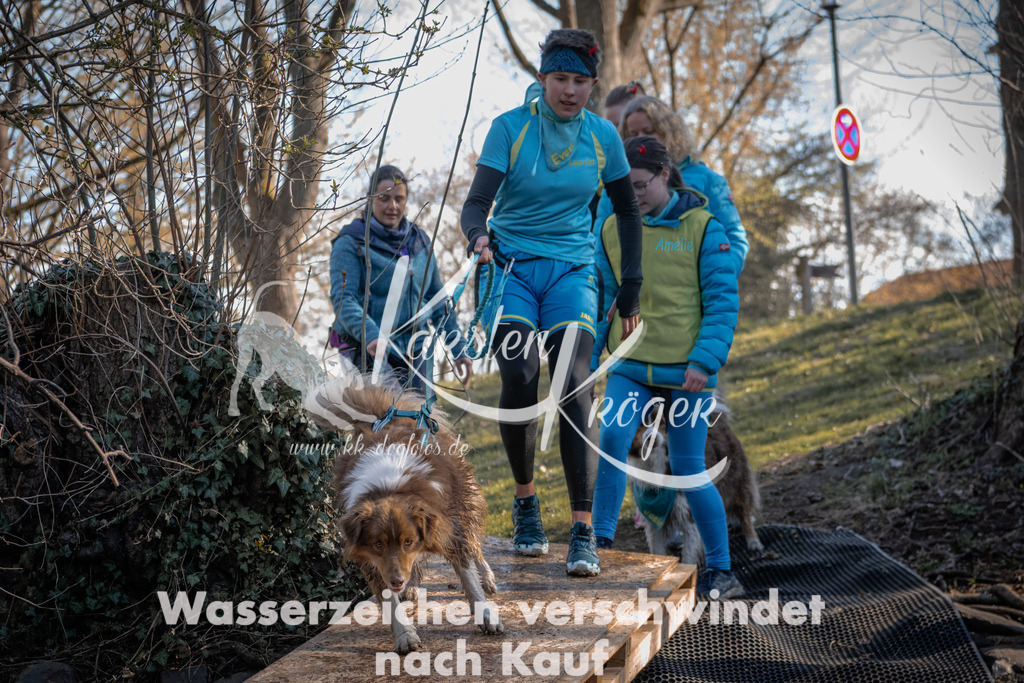 0828_ZZ91110 | kk-dogfotos