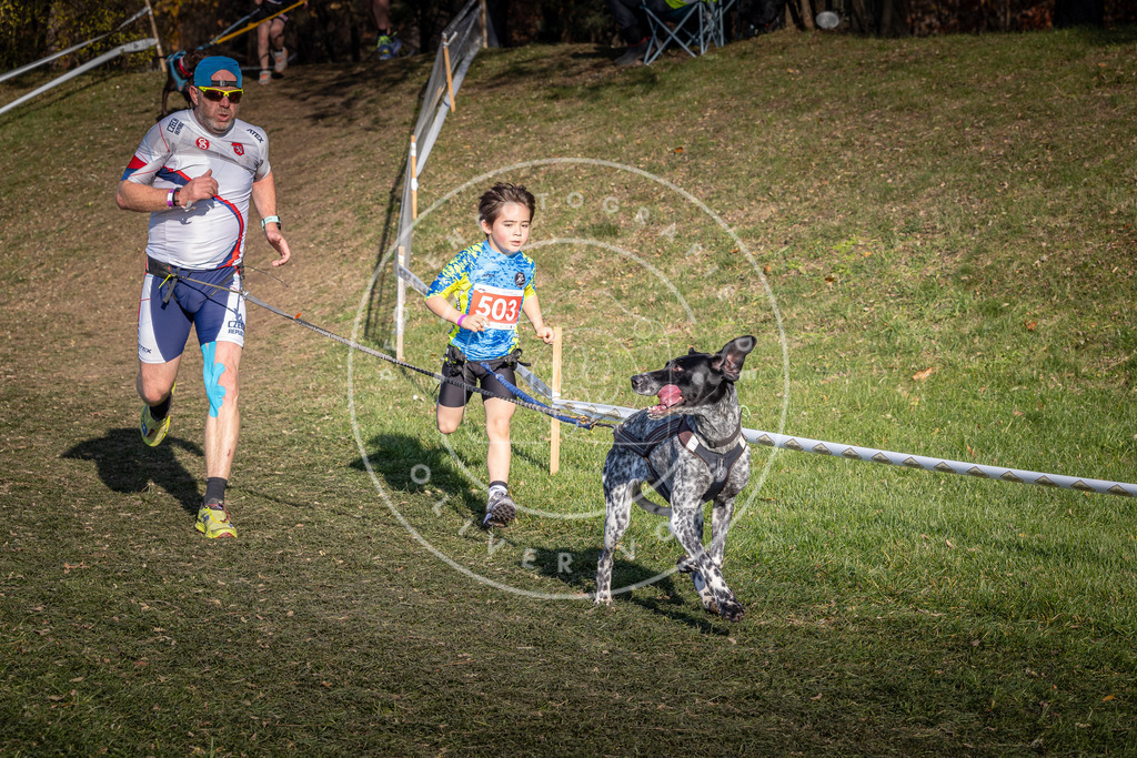 CaniXpix_0L8A8481 | Hundefotografie, Tierfotograf, Pfotenfotografie, Fotoshooting Hund, Hunde Portrait, Hundesport, Hundeportraits, Heideshooting, Hunde, Sportfotograf, Hundefotograf, Turnierhundsport, THS,  - Realisiert mit Pictrs.com