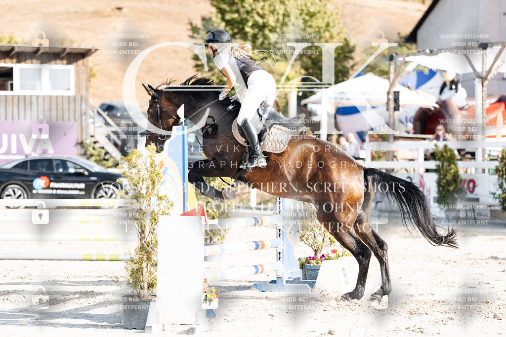 CK909510 | Turnierfotografie Pferdefotografie Trier Rheinland-Pfalz Pferdesport Reitsport Tierfotografie Sportfotografie Pferdevideo Pferdevideografie Equestrianvideography equestrianphotography  - Realisiert mit Pictrs.com