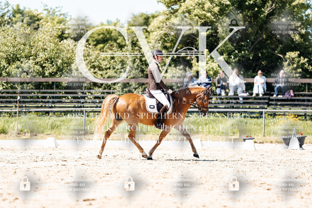 CK905580 | Turnierfotografie Pferdefotografie Trier Rheinland-Pfalz Pferdesport Reitsport Tierfotografie Sportfotografie Pferdevideo Pferdevideografie Equestrianvideography equestrianphotography  - Realisiert mit Pictrs.com