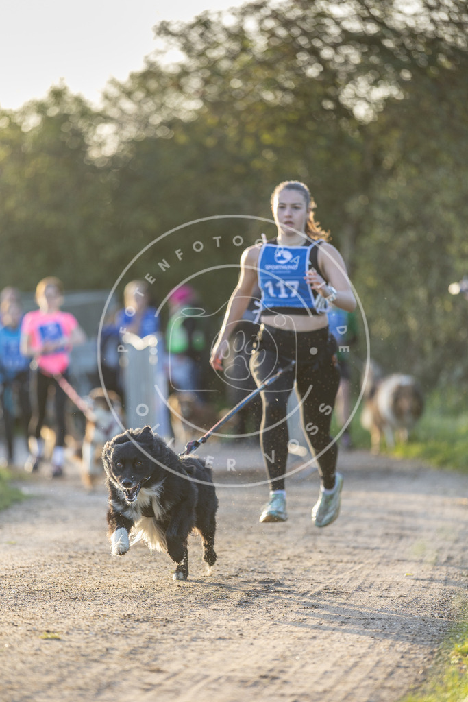Pfotenfotografie.de_DV3A2471 | Hundefotografie, Tierfotograf, Pfotenfotografie, Fotoshooting Hund, Hunde Portrait, Hundesport, Hundeportraits, Heideshooting, Hunde, Sportfotograf, Hundefotograf, Turnierhundsport, THS, canicross - Realisiert mit Pictrs.com