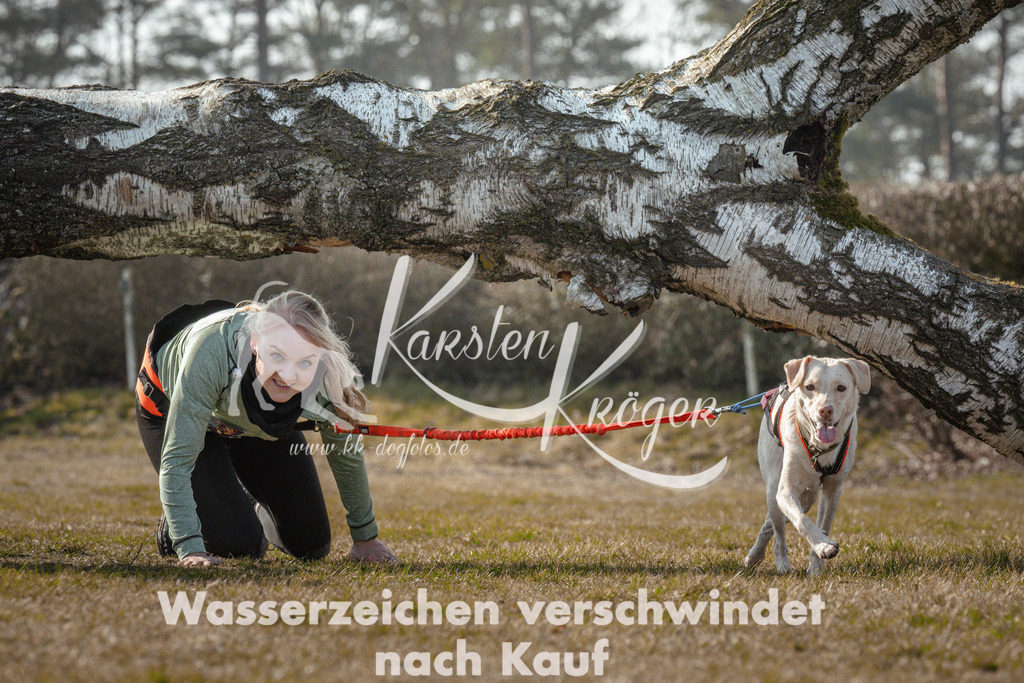 1008_ZZ91230 | kk-dogfotos