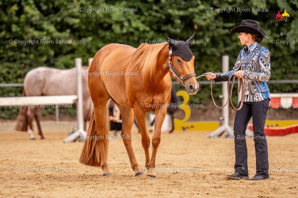 LMS06662 | BS-foto