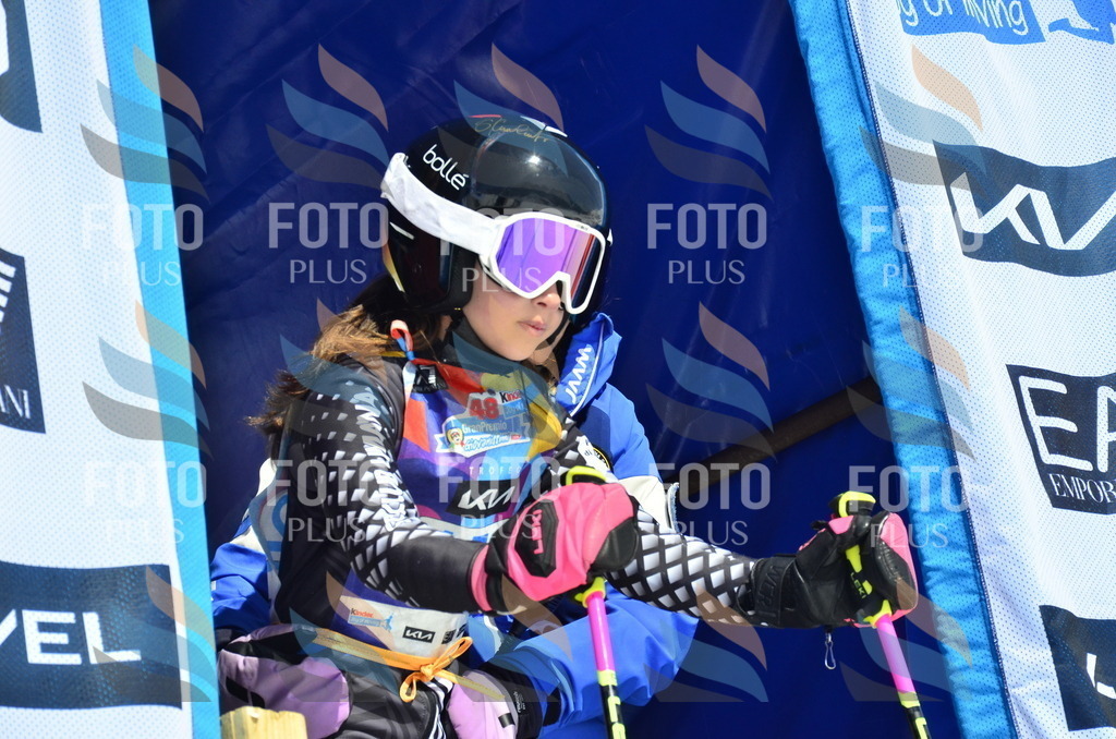 _ELE1009 | holidayphoto