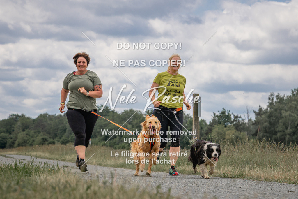 nelerasche_BuHu2026_SaCC1100-1200_253 | nelerasche