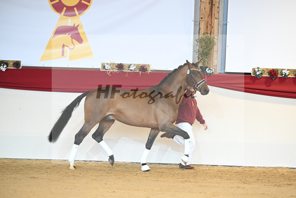 Kat-Nr. 77 Vitalis_Bock_1231524 | hf-fotografie - Realisiert mit Pictrs.com
