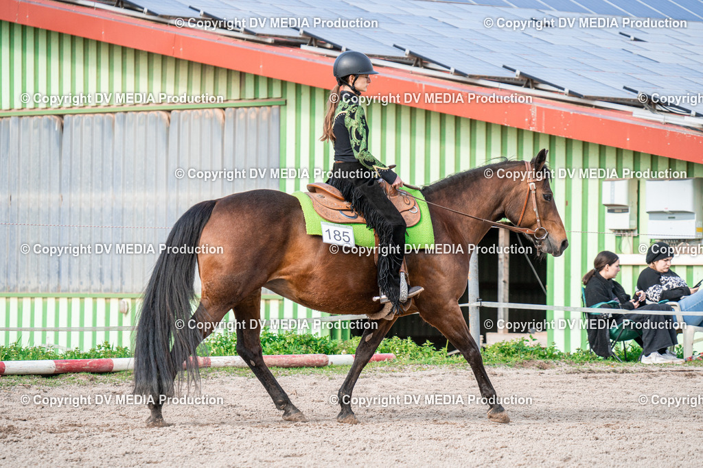 BAL02851 | dv-media-shop - Realisiert mit Pictrs.com