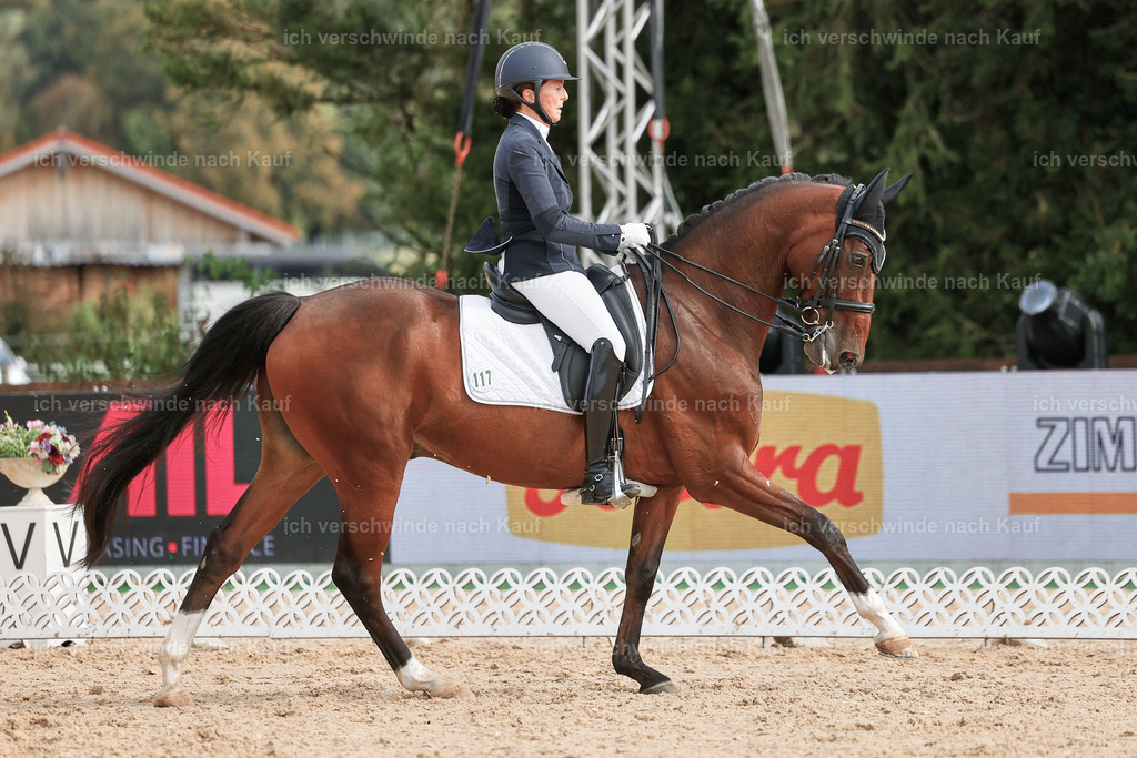 05-117-DRESSUR M_  -StoibPH-4939 | working equitationturnier fotograf videograf stoibphotography marixx film working equitation deutschland reitsport turnierfotografie eventfotografie equestrian events