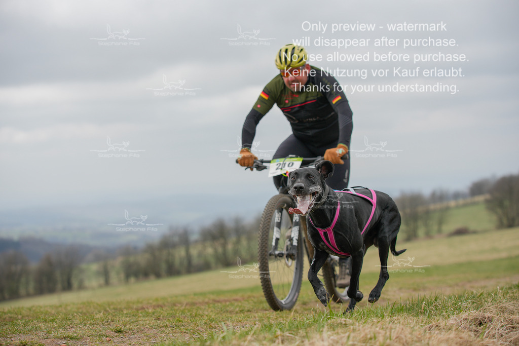 BikeSA-65 | stephaniefillaphotographie - Realisiert mit Pictrs.com