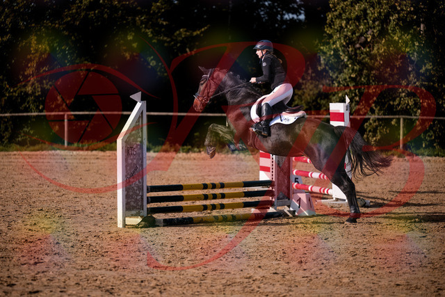 2026_10_03_Siefer-Hof_154857_Z81_67270793 | Professionelle Reitsport-, Turnier- und Eventfotografie von Robert Broda. Galerien mit ausgewählten und bearbeiteten Bildern direkt online ansehen und bestellen.