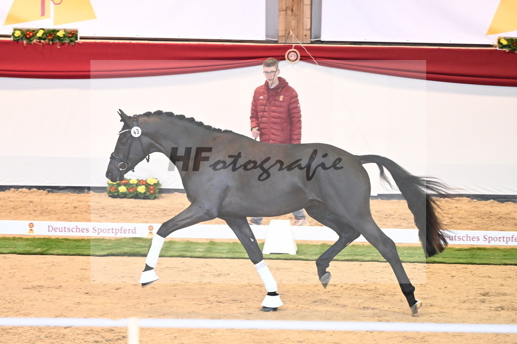 Kat.-Nr. 43 v. Dynamic Dream_Schafhof und Jäckel_2240507 | hf-fotografie - Realisiert mit Pictrs.com