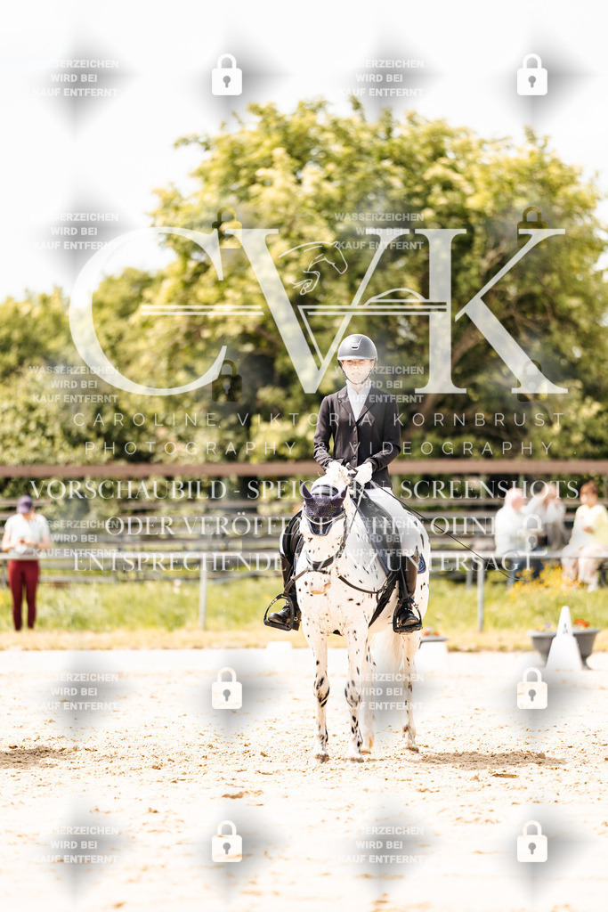 CK902431 | Turnierfotografie Pferdefotografie Trier Rheinland-Pfalz Pferdesport Reitsport Tierfotografie Sportfotografie Pferdevideo Pferdevideografie Equestrianvideography equestrianphotography  - Realisiert mit Pictrs.com