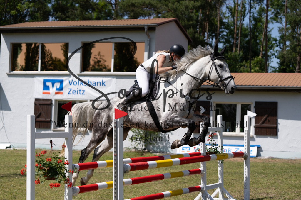 A7V06342 | Pferdefotograf