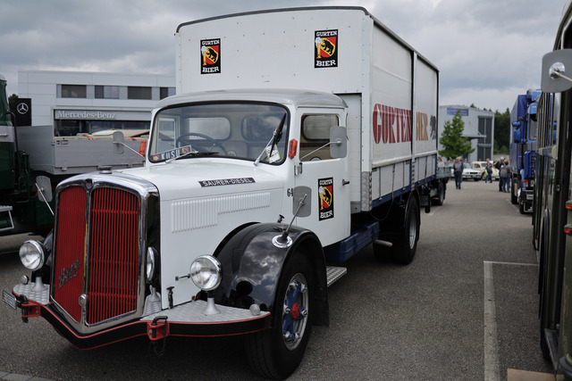 Calag_Oldtimer2025-03 | Ich fotografiere Hundeausstellungen, Sportanlässe, Zuchtstätten, Hundezucht, Hundeportrait, Lagotto - Realisiert mit Pictrs.com