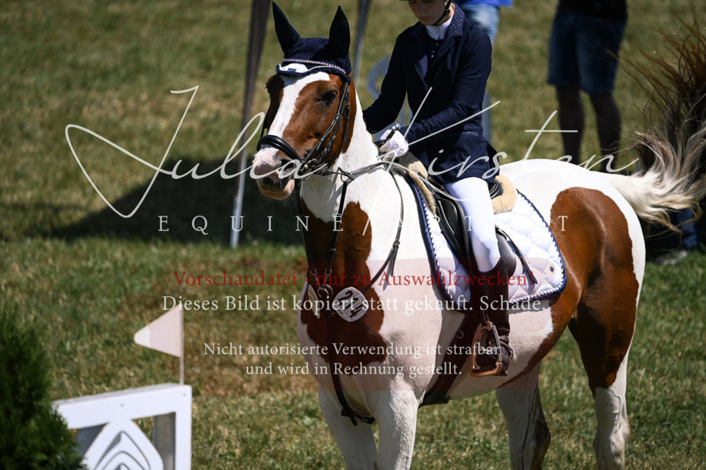 DSC_9940 | Pferde- und Turnierfotografie in Westsachsen. Pferdeportraits, Auftragszeichnungen und intuitive Kunst.