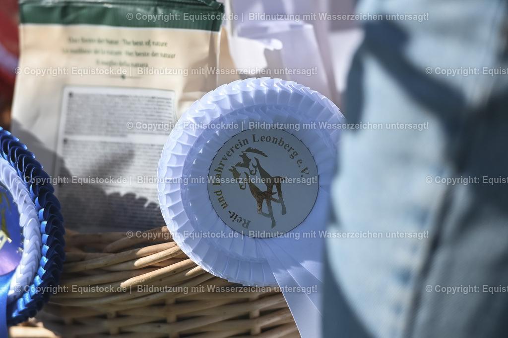 20230909_12_Stilspringen_A_0213 | equistock