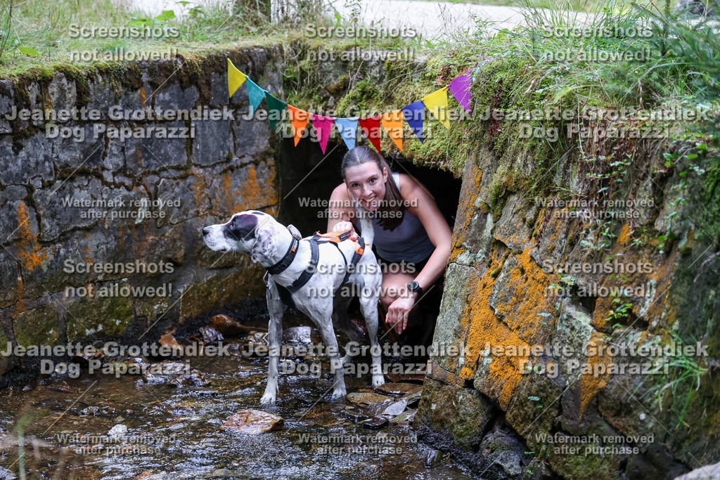 Dog Paparazzi -  TH 26-545 | Dog Paparazzi Jeanette Grottendiek Fotografie & Videografie - Realisiert mit Pictrs.com