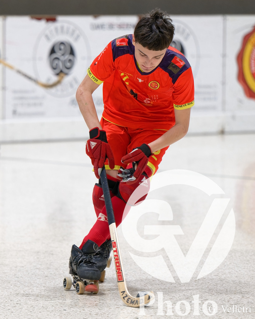 DSC_3367 | Velletri Photo