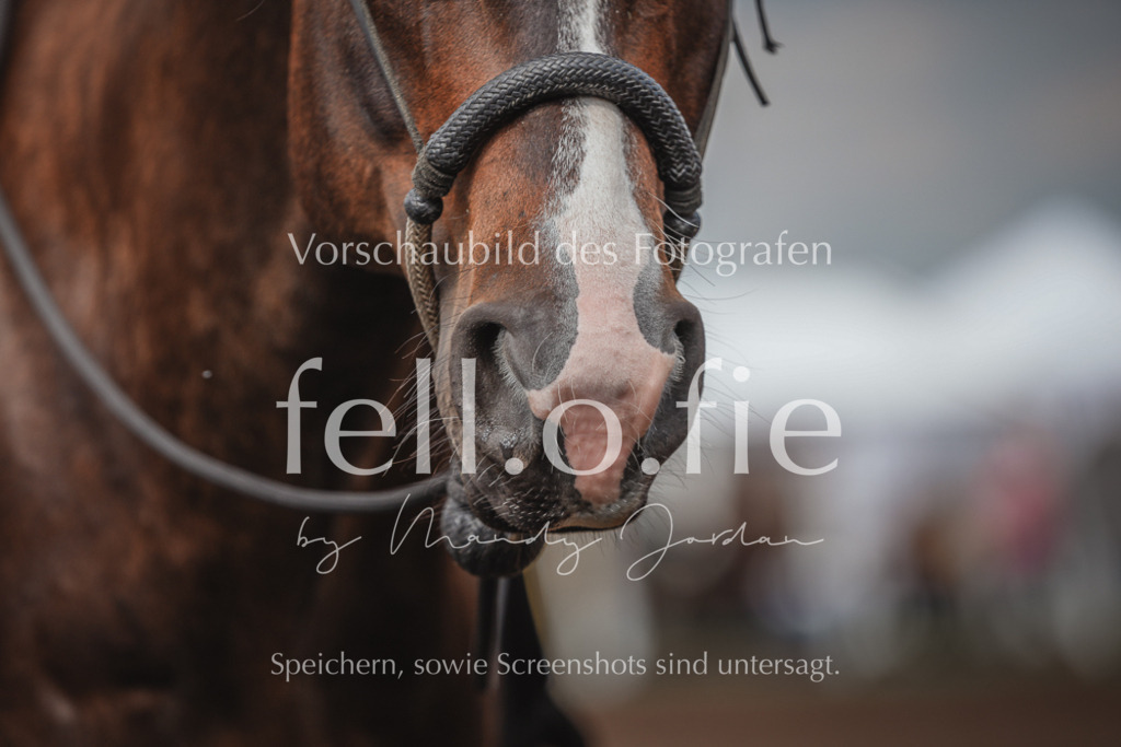 fell.o.fie_mandyjordan_2024_06_08395 | Mandy Klecke Fellfotografie, fell.o.fie Fotografenshop - Realisiert mit Pictrs.com
