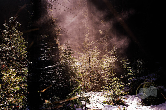DSC_0640 | Shop für Prints Landschaftsfotografie Sächsische Schweiz Naturfotografie in Thüringen Fotos vom Findlingspark Nochten Kloster Sankt Marienstern Bilder Festung Königstein PanoramaRhododendronpark Kromlau FotogalerSchleswig-Holstein Küstenlandschaften
