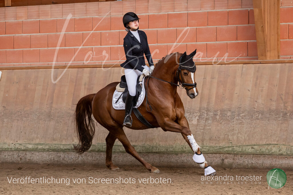260329_Barop_15_065 | farbklaex.com