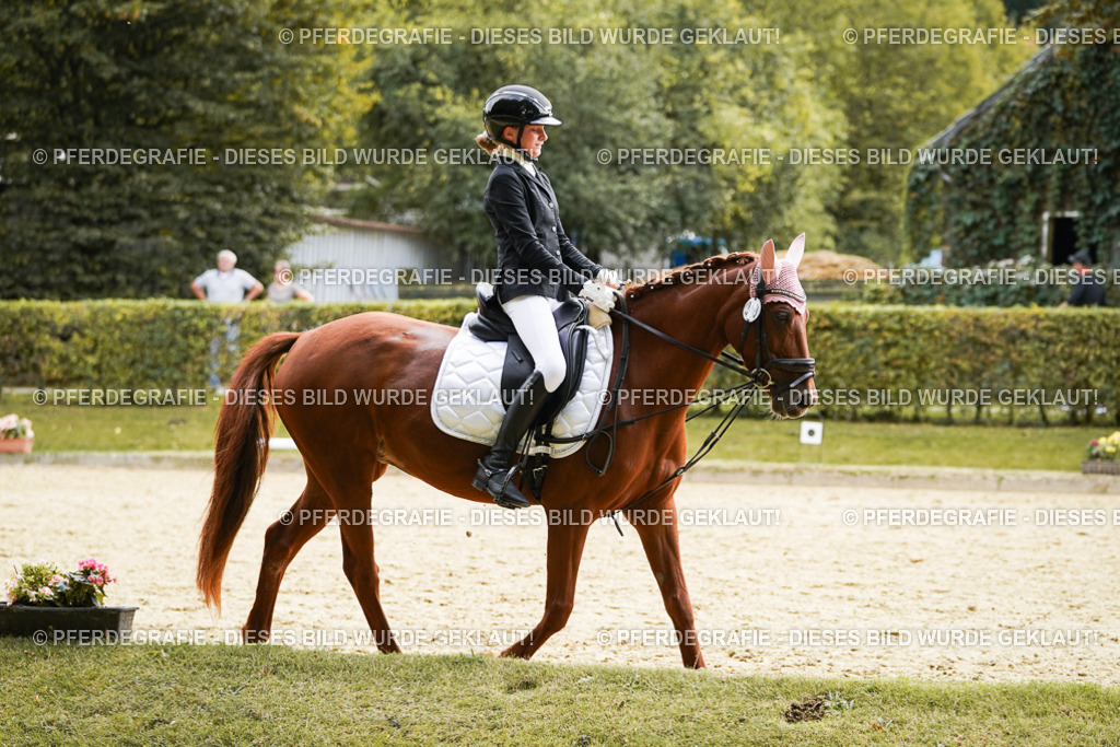 DSC00963 | Pferdegrafie