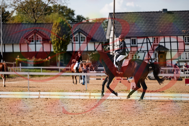 2026_10_03_Siefer-Hof_133657_Z63_98844194 | Professionelle Reitsport-, Turnier- und Eventfotografie von Robert Broda. Galerien mit ausgewählten und bearbeiteten Bildern direkt online ansehen und bestellen.