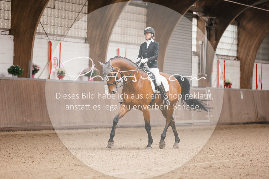 3I6A8093 | Stimmungsvolle Portraits und Reitsportfotografie im Ruhrgebiet und im Münsterland.

Pferdefotografie, Hundefotografie, Tierfotografie, Reportagen, Portraits von Tier und Mensch, Turnierfotografie in Bochum, Recklinghausen, Marl, Haltern am See, Dülmen.. - Realisiert mit Pictrs.com
