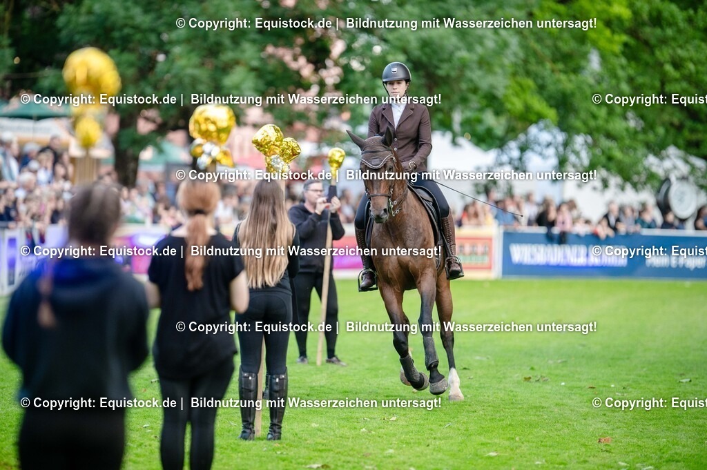 20250606_Lange-Pferdenacht_0280 | Foto: Thomas Hartig