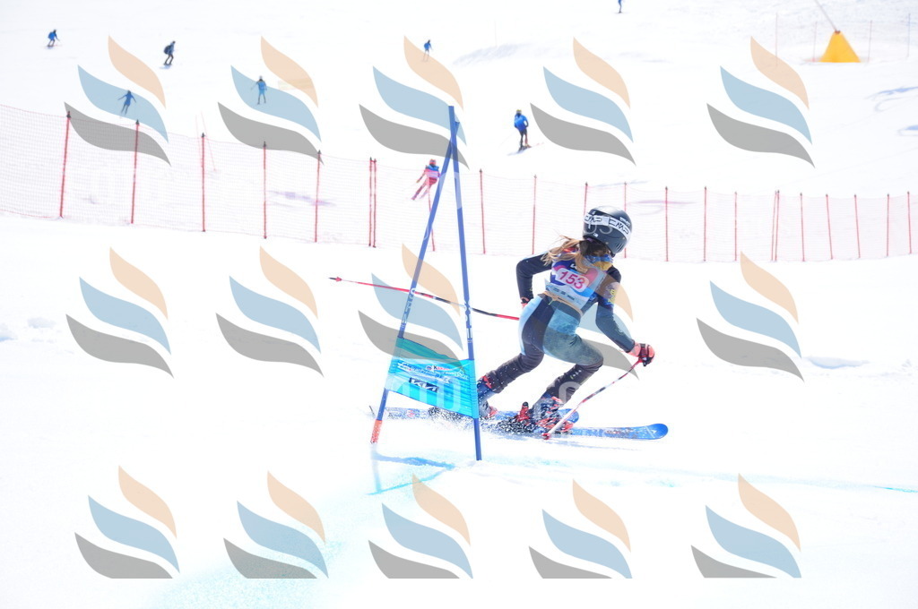 DSC_5304 | holidayphoto