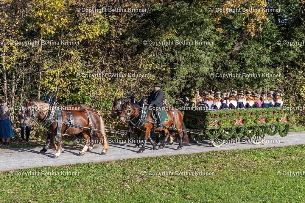 LBT24-526 | foto-bettina-krinner - Realisiert mit Pictrs.com