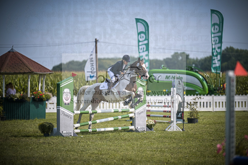 DOS_2745 | Entdecke hochwertige Reitturnierfotos von Foto Oger. Professionell, emotional und authentisch – jetzt Lieblingsmomente im Shop bestellen.Deutschlandweite Turnierfotografie. - Realisiert mit Pictrs.com