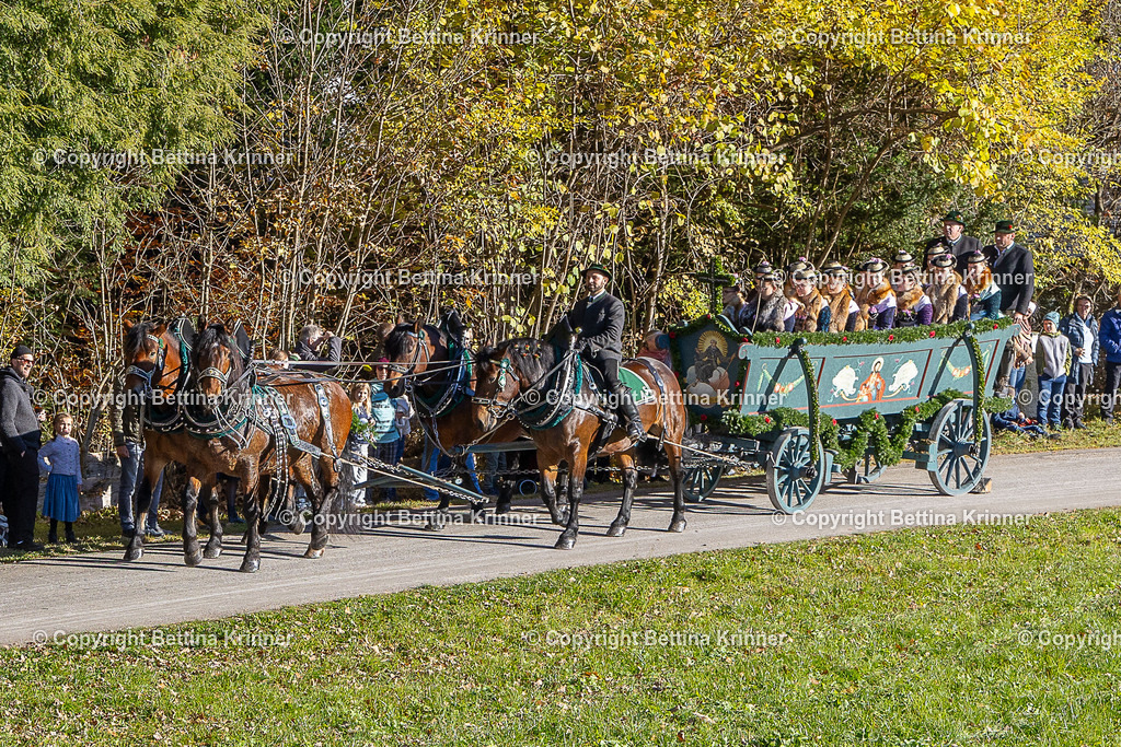 LBT25-265 | foto-bettina-krinner - Realisiert mit Pictrs.com