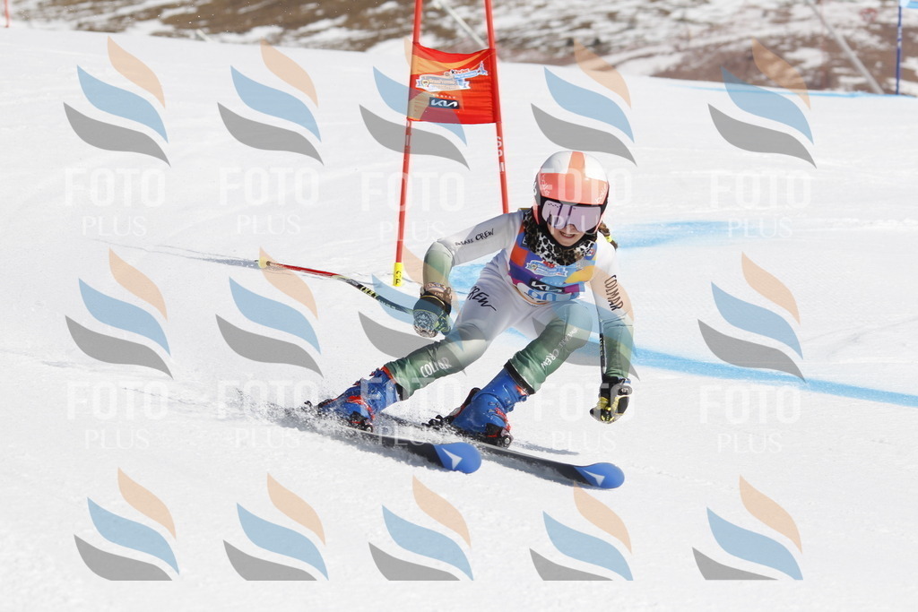 _U3G0162 | holidayphoto