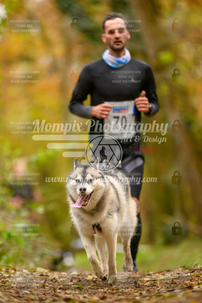 MompixPhotography_Bischwiller24_SA_Canicross-82 | PayLife