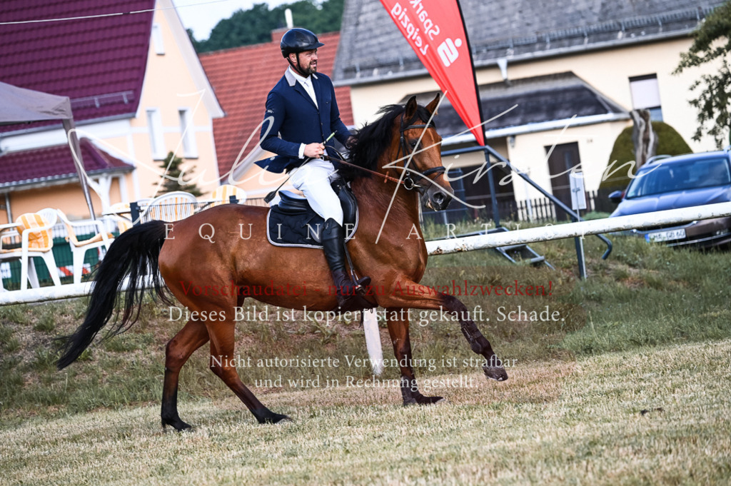 DSC_7605 | Pferde- und Turnierfotografie in Westsachsen. Pferdeportraits, Auftragszeichnungen und intuitive Kunst.