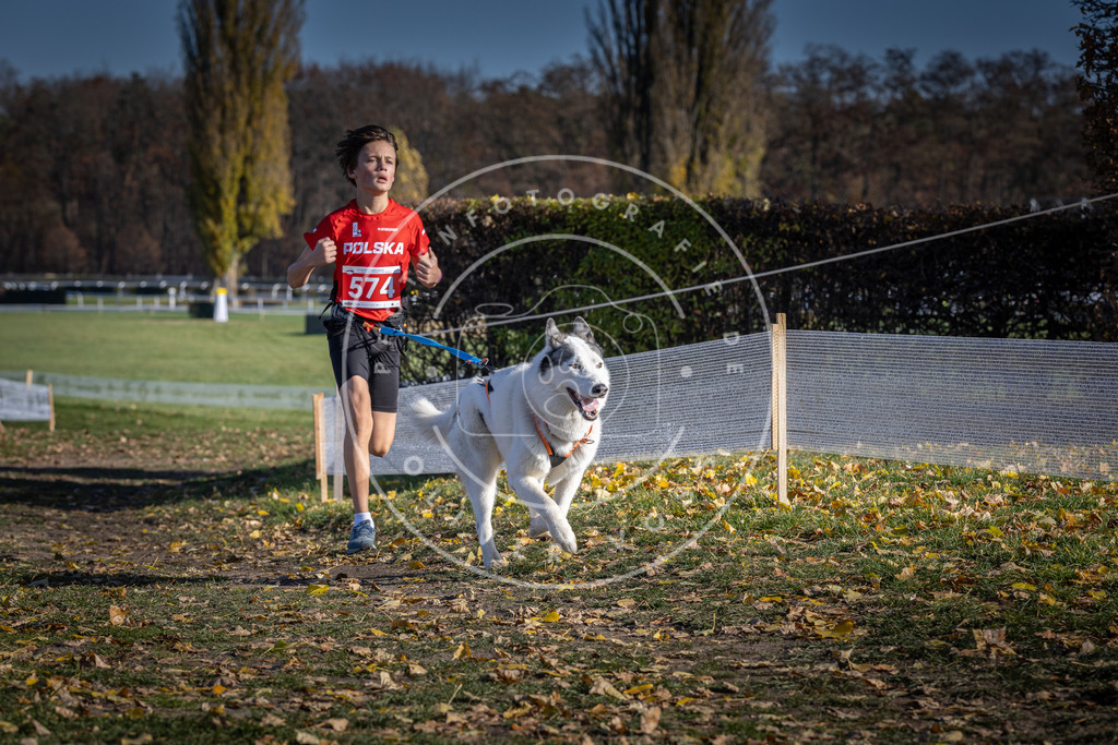 CaniXpix_DV3A8929 | Hundefotografie, Tierfotograf, Pfotenfotografie, Fotoshooting Hund, Hunde Portrait, Hundesport, Hundeportraits, Heideshooting, Hunde, Sportfotograf, Hundefotograf, Turnierhundsport, THS,  - Realisiert mit Pictrs.com
